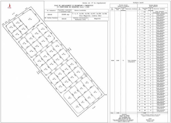 Loturi teren intabulate individual - Magurele