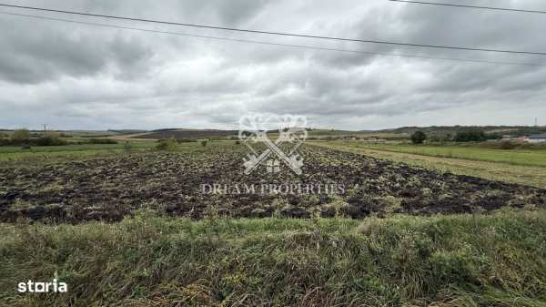 Oportunitate investiție! Teren intravilan, 9300 mp, front la DN, Iclod