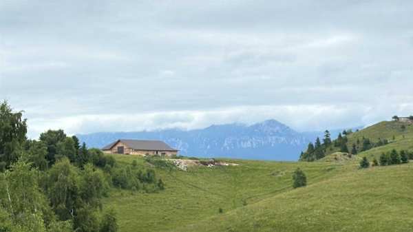 Teren cu cabana la Munte