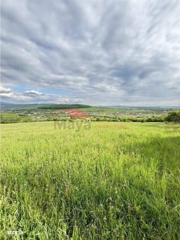 Teren extravilan, Cetate