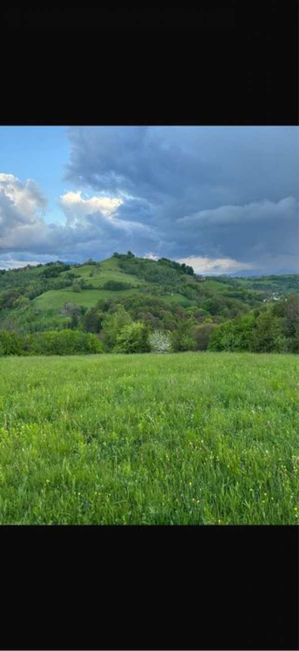Inchiriez casa la tara