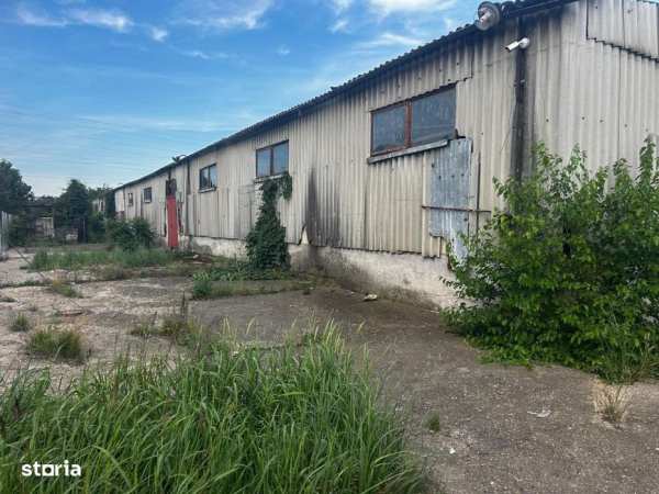 vanzare hala 3600 mp , pretabil fabrica, spatiu productie