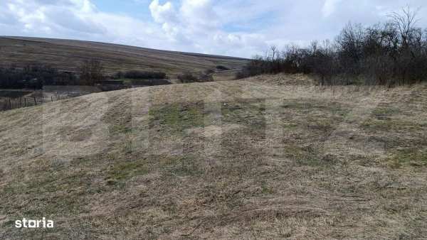 Casa veche cu teren generos de 5.300 mp – oportunitate de investitie