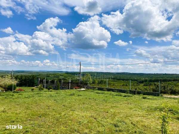 Teren intravilan pentru constructii de vanzare in Paleu, Oradea