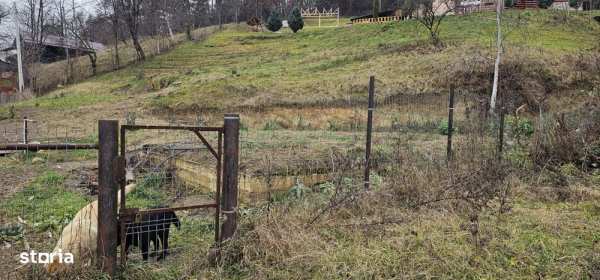 Teren construibil (intravilan) de vanzare, strada Viei nr. 30
