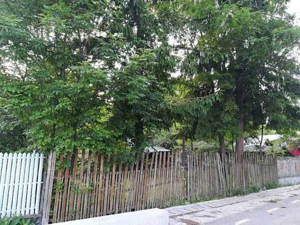 Vând teren intravilan Aluniș Prahova