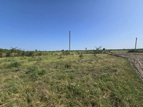 Vand Teren 2200 metri Ciorogarla Darvari la 15 minute de bucuresti