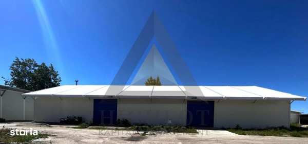 Spatii industriale si logistice flexibile | Locatie strategica | Bucur