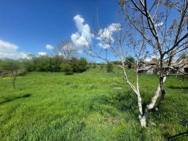 Teren intravilan + casa - Coldau