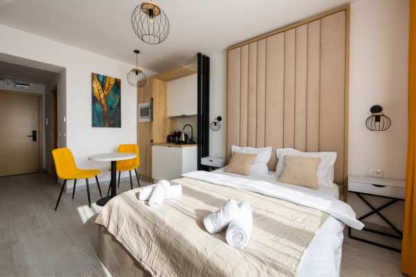 Garsoniere Regim Hotelier Rin Grand