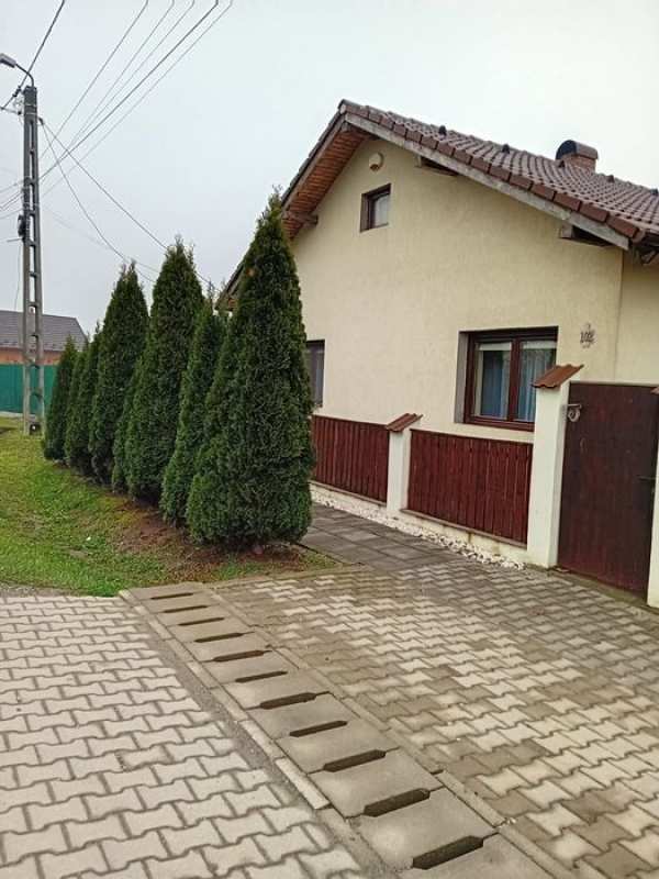 Oferim spre Închiriere