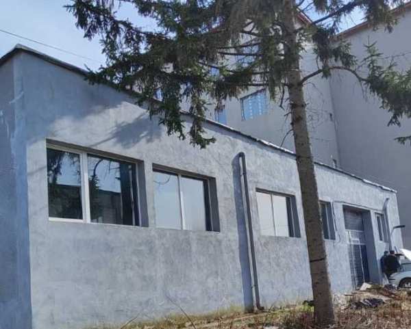 Hala , Criseni 240mp