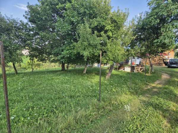 Intravilan 2000 mp, Pestera, com Moeciu, comision 0%