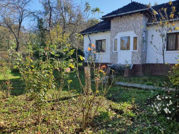 Casă spațioasă în Măgura, , jud Buzău – 110 m² + 1200 m² teren
