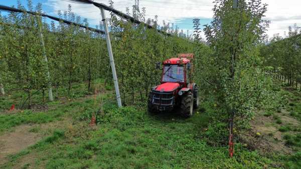 Livada MERI  de vanzare