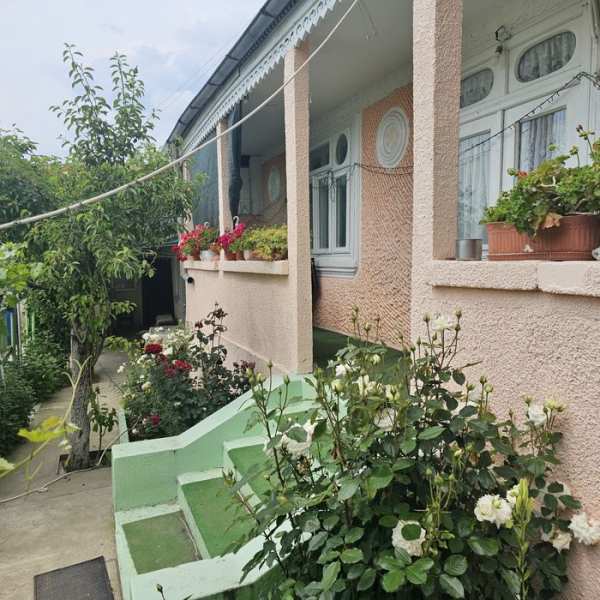 De vânzare casă independentă cu teren + vie si solar