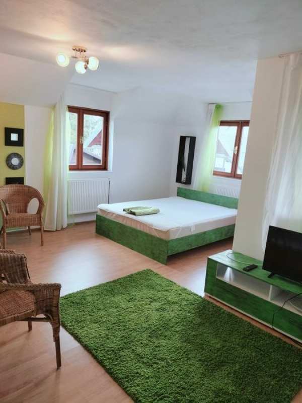 Cazare Bușteni camera dublă sau apartament