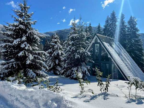 Pine Hill Cabana la munte