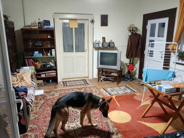 Vand urgent in Tg. Mures casa cu 4 camere, transformabila in 5 camere