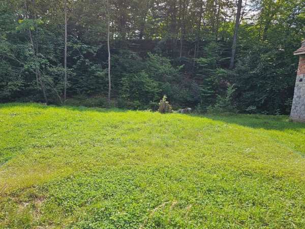 Teren intravilan Bran de vanzare