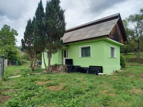 Primesc in gazdă gratis o fată
