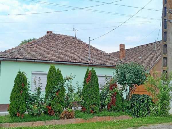 Casa de vanzare la Pecica, 20 km de Arad
