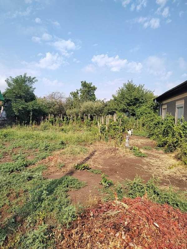 Vand casa 4 camere Caracal