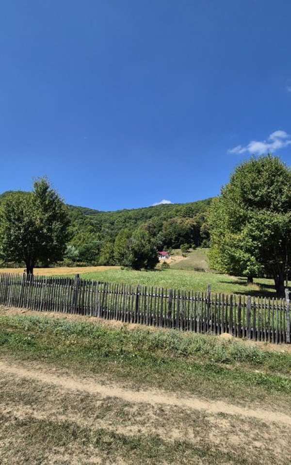 Teren Intravilan 1900 mp