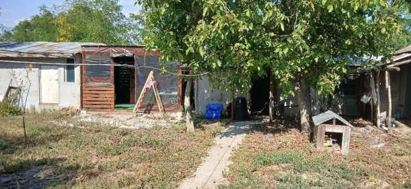 Case in comuna Rimnicelu județul Braila