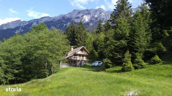 Vanzare Cabana in pitorerscul peisaj din Plaiul Foii, Zarnesti Brasov