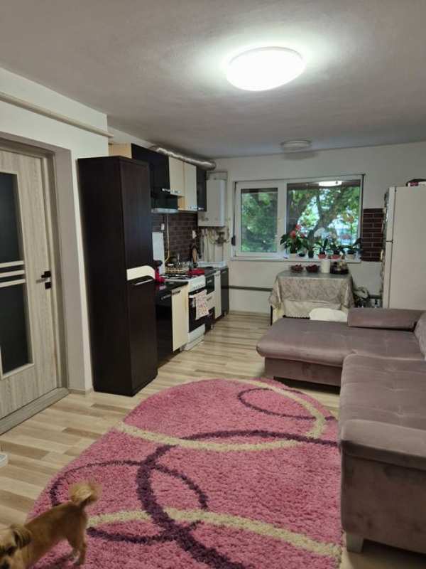 De vanzare -apartament cu 1 camera