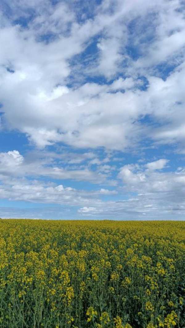 Vând teren agricol