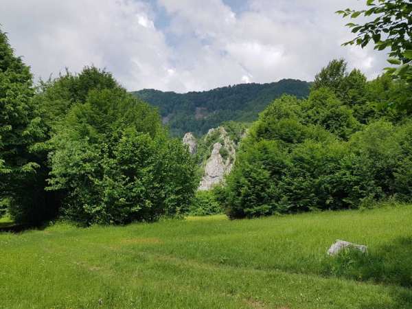 Teren frumos pentru casă de vacanță sau afacere, Boga-Padis, 16$mp