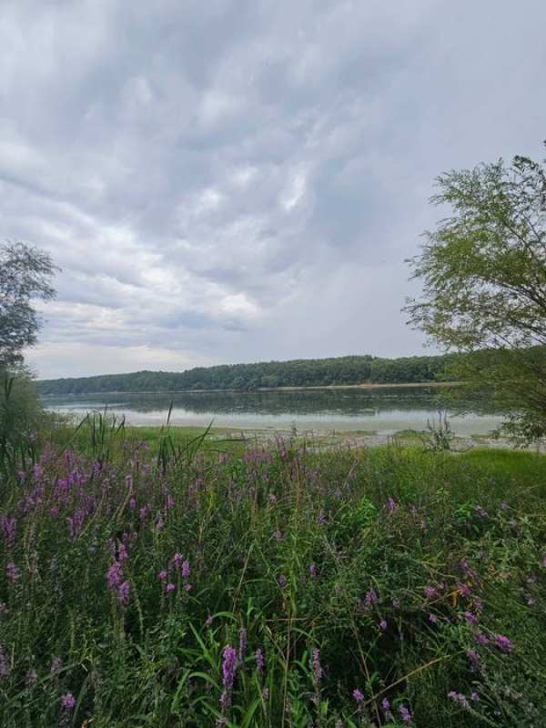 Vand teren extravilan pe insula Ostrovoul Mare MH