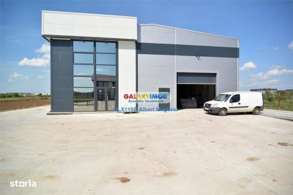 Vanzare hala 590 mp Chitila Rudeni- centura