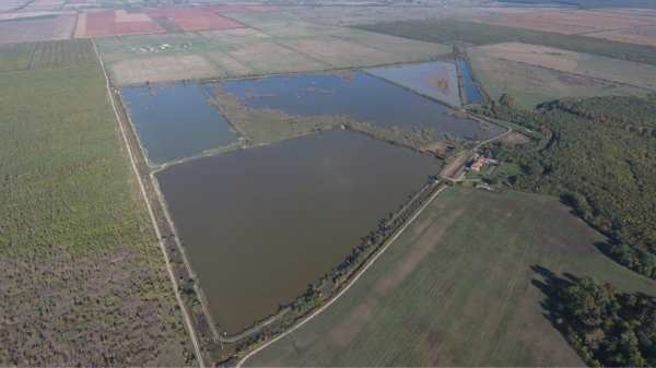Ferma Piscicola judetul Arad oras Cermei
