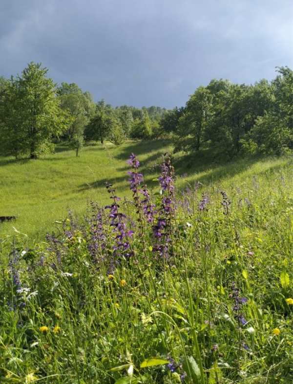 Teren de vanzare pitoresc in Secaria