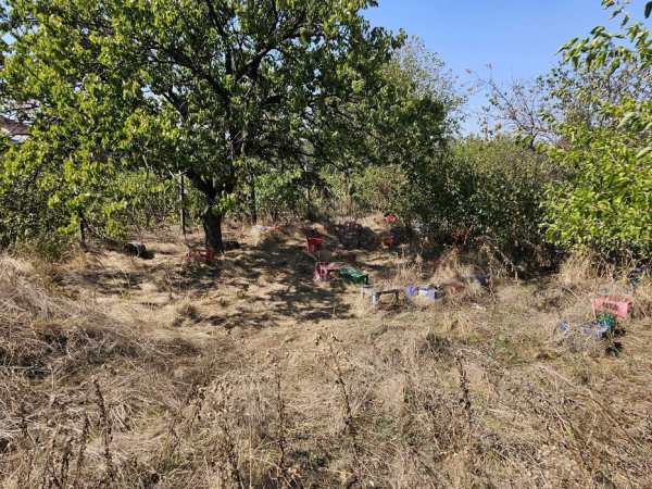 Teren Stejaru 2070mp cu casa batraneasca nelocuibila, langa Bucuresti