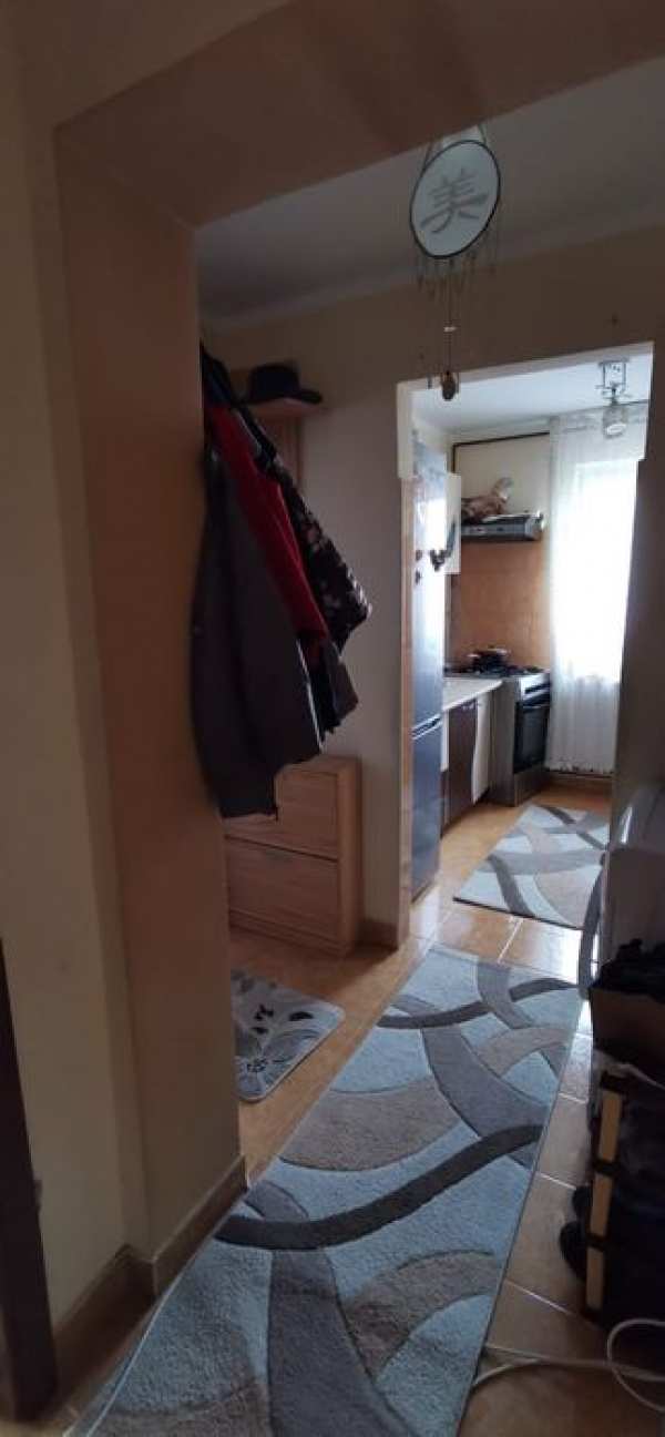 Apartament 3 camere