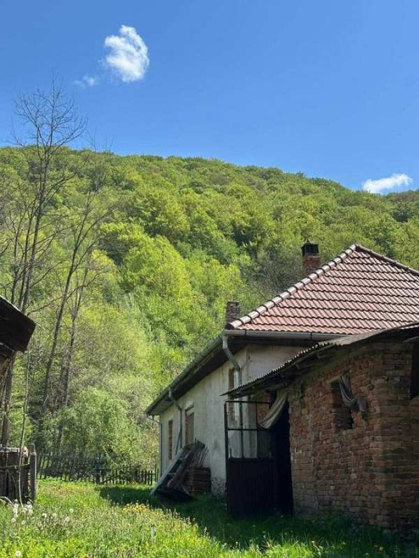 De vanzare Casa la munte si padure