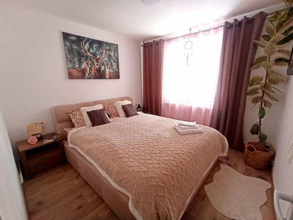 Apartament Eagle Predeal