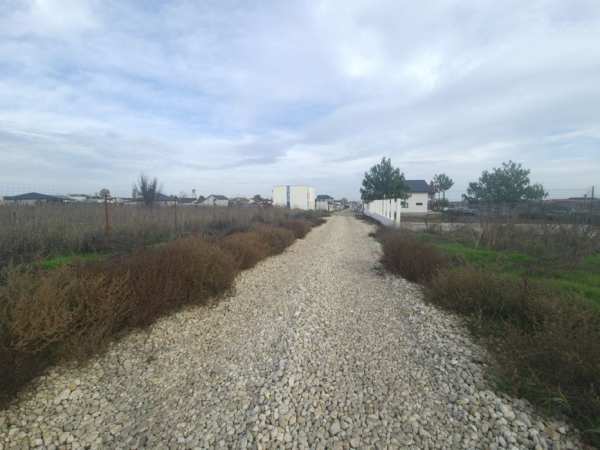 Teren de vanzare Agigea