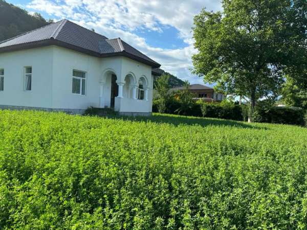 2caselocuibile,30.000 m2 curte 7000 Ingraditi 46ml la drumul principal