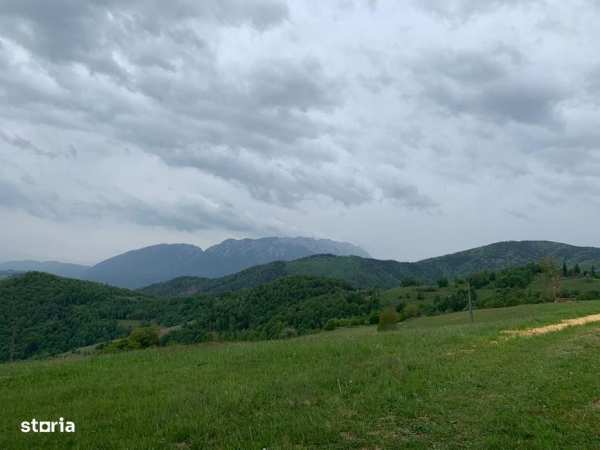 Proprietar vand teren extravilan 2ha, PANORAMA SUPER, investitie, BIO