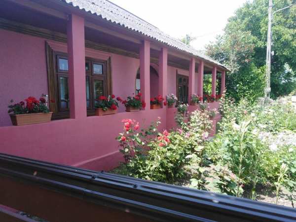 Casă la țară întreținută, 3 camere + teren generos – Trifești județul Iași