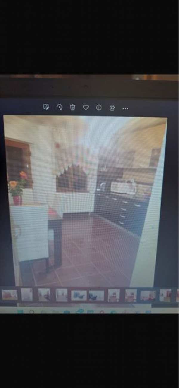 Inchiriez casa in Horia