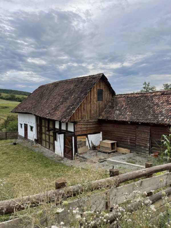 De vanzare casa teren si gospodarie la tara