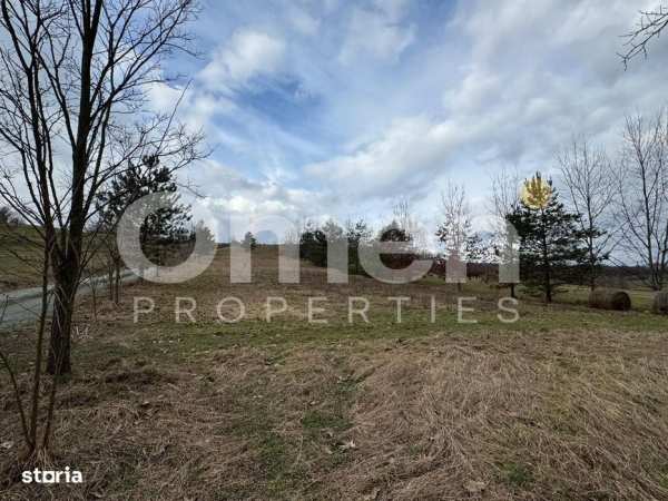 Teren de vânzare | 3423 mp | Copalnic | la drum principal