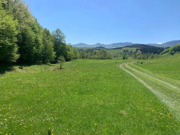Vand teren intavilan 6300mp in comuna soveja