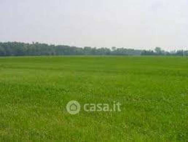 Terreno agricolo in commerciale in 